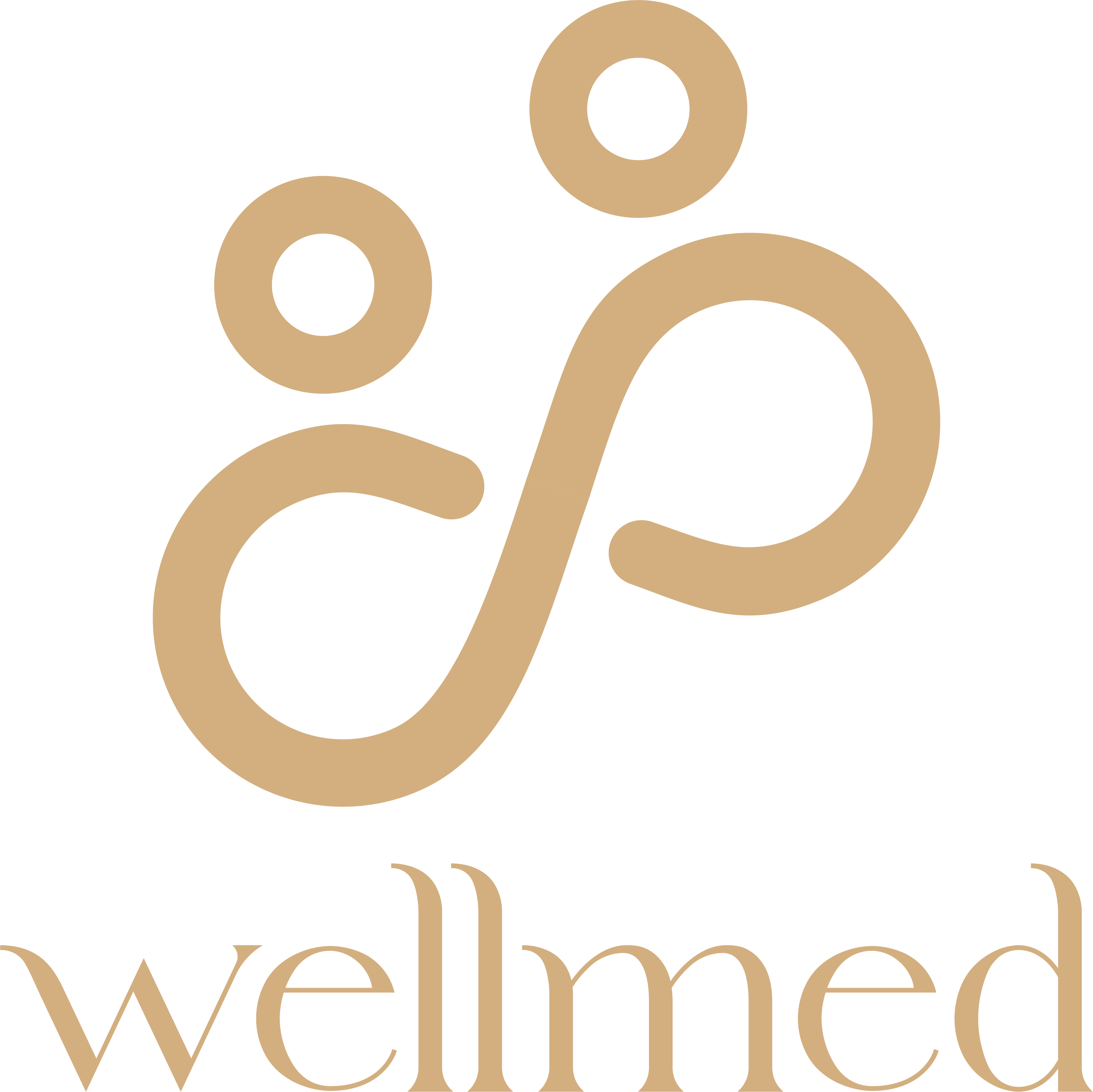 โลโก้ Wellmed